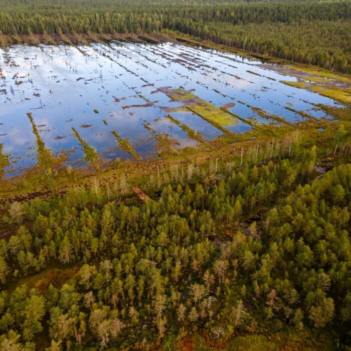 location de matelas de bois drain swamps