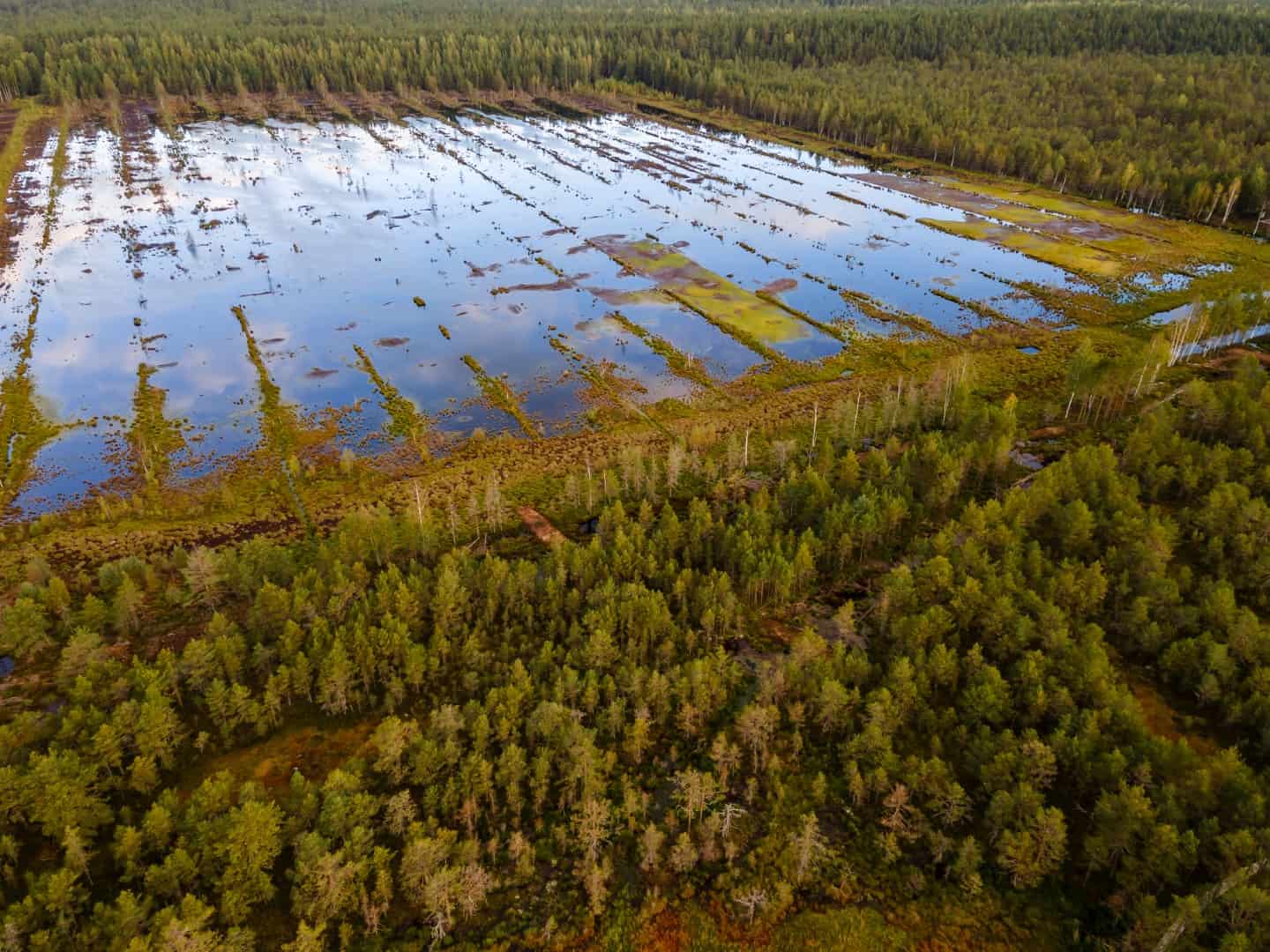 Artificial pond to drain swamps in Estonia. Drone aerial view