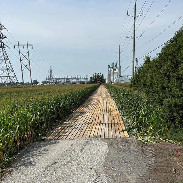 tapis de route temporaires photoDistributionTransmission protection