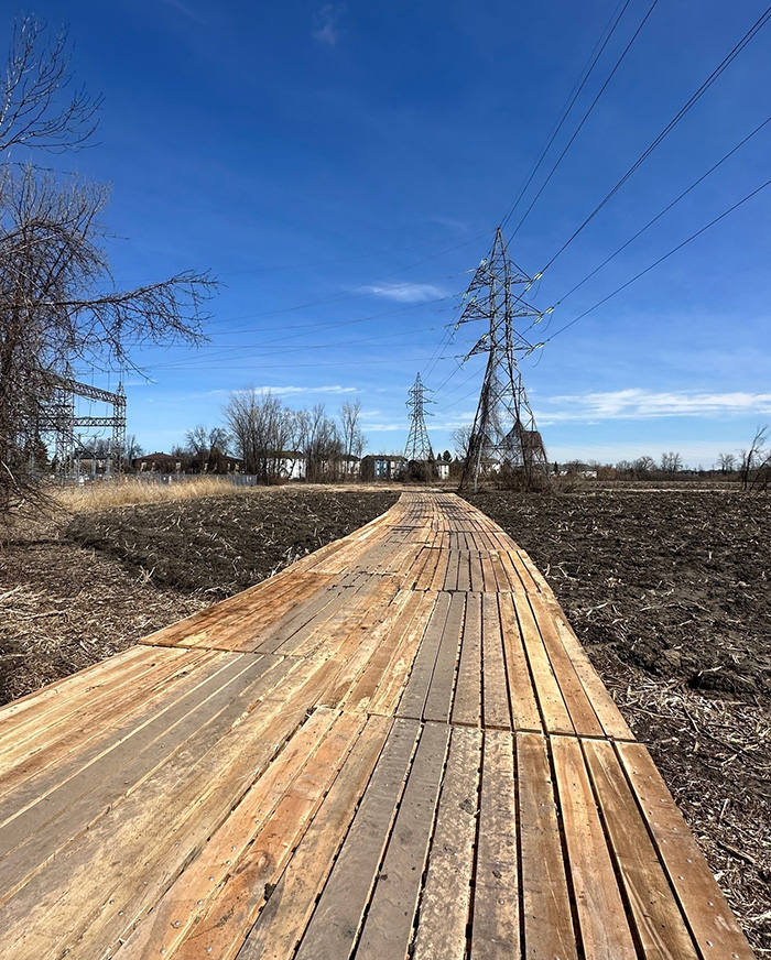 powerline wood mats photoRenewableEnergy2
