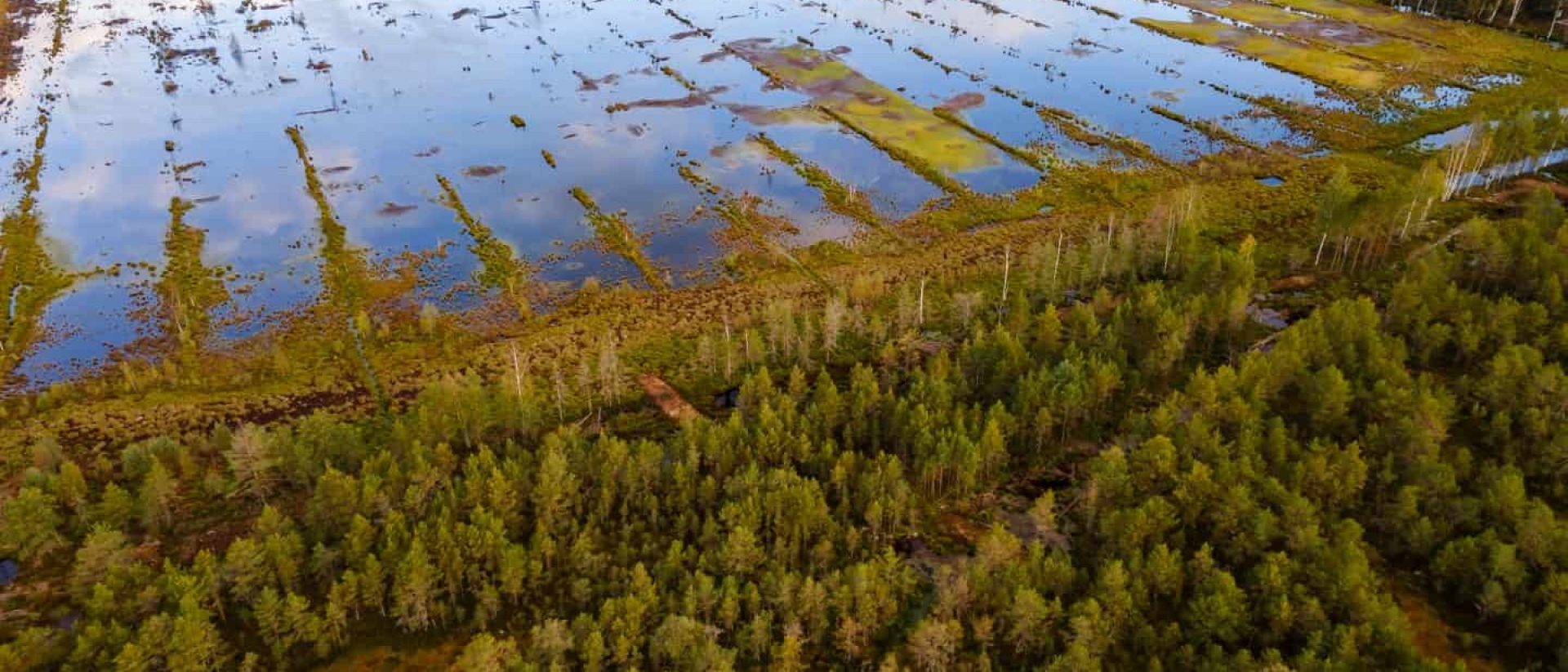 Artificial pond to drain swamps in Estonia. Drone aerial view